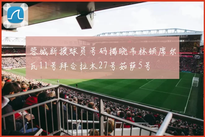 蓉城新援球员号码揭晓韦林顿席尔瓦11号拜合拉木27号茹萨5号