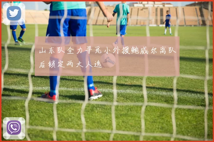 山东队全力寻觅小外援鲍威尔离队后锁定两大人选