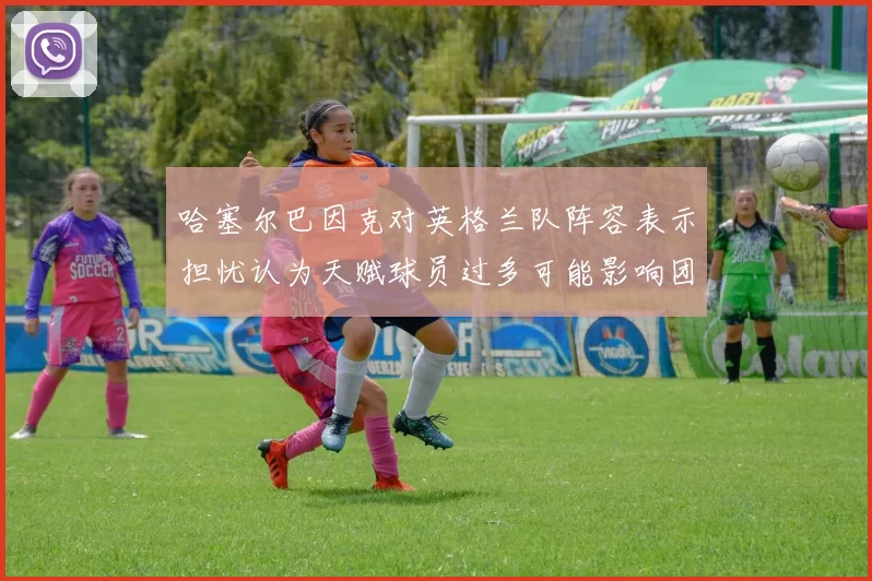 哈塞尔巴因克对英格兰队阵容表示担忧认为天赋球员过多可能影响团队合作